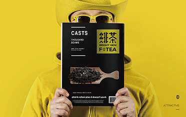 安庆绯茶品牌设计